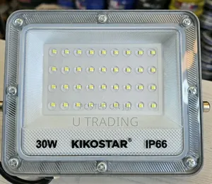 Flood Light