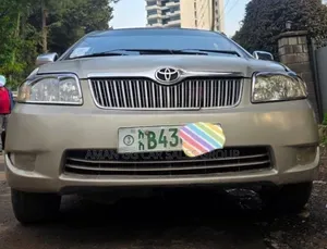 Toyota Corolla 2004 Gray