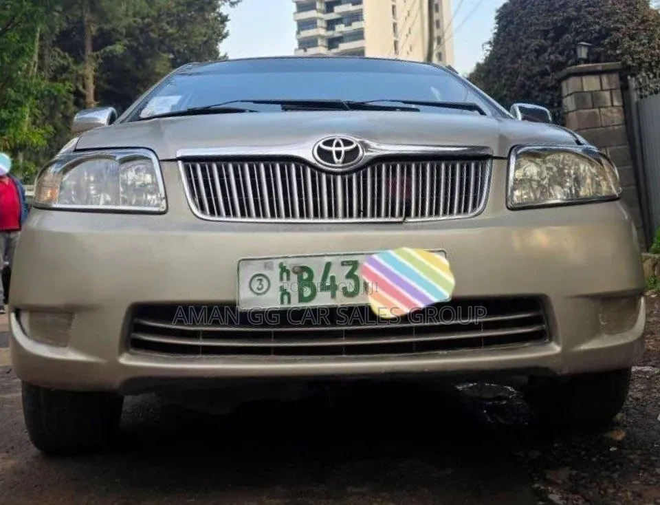 Toyota Corolla 2004 Gray