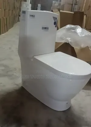 Golden Dragon Toilet + Hand Wash