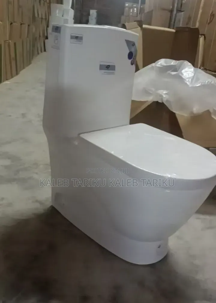 Golden Dragon Toilet + Hand Wash