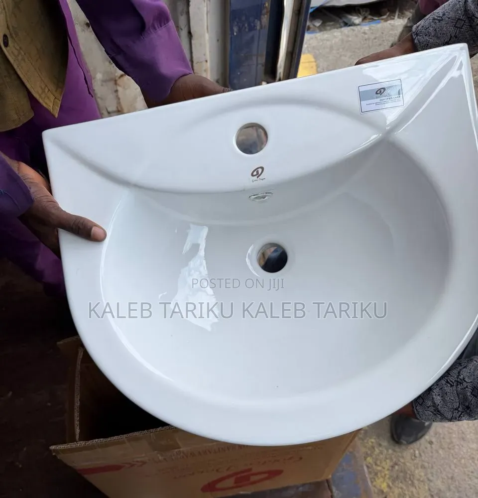 Golden Dragon Toilet + Hand Wash