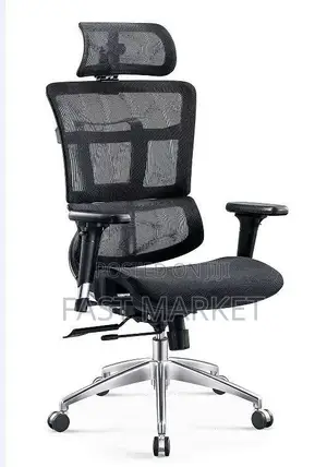 Ergonomic High-Back Mesh Office Chair