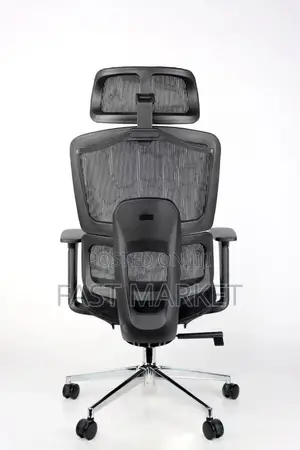 Ergonomic High-Back Mesh Office Chair