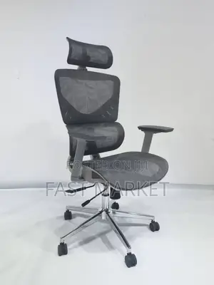 Ergonomic Office Chair