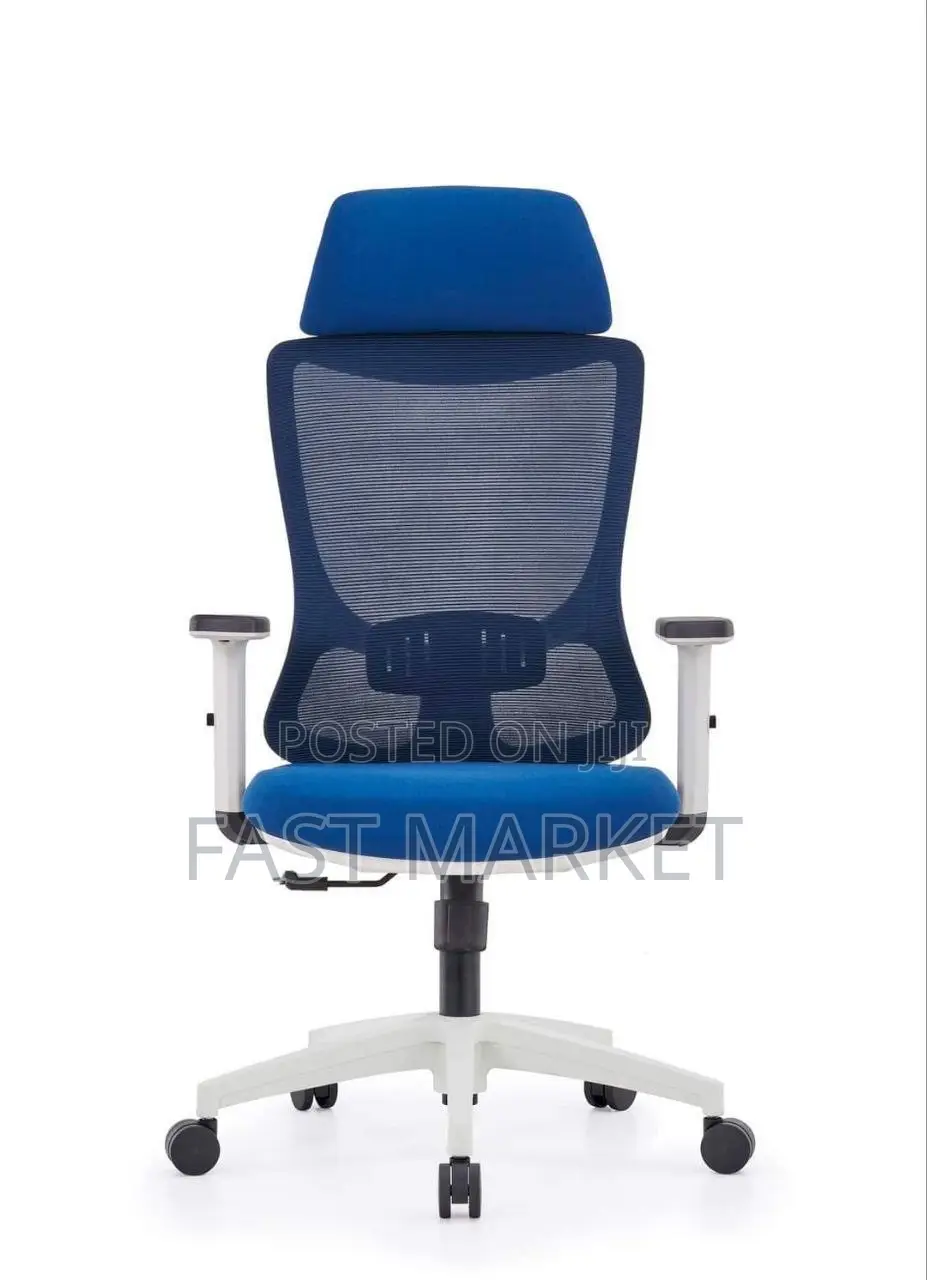 Ergonomic Mesh Managerial Office Chair