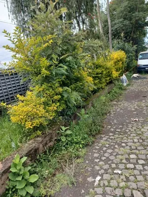 510 M2 Residential LandFor Sale Addis Ababa Ayat Zone Inside Compound