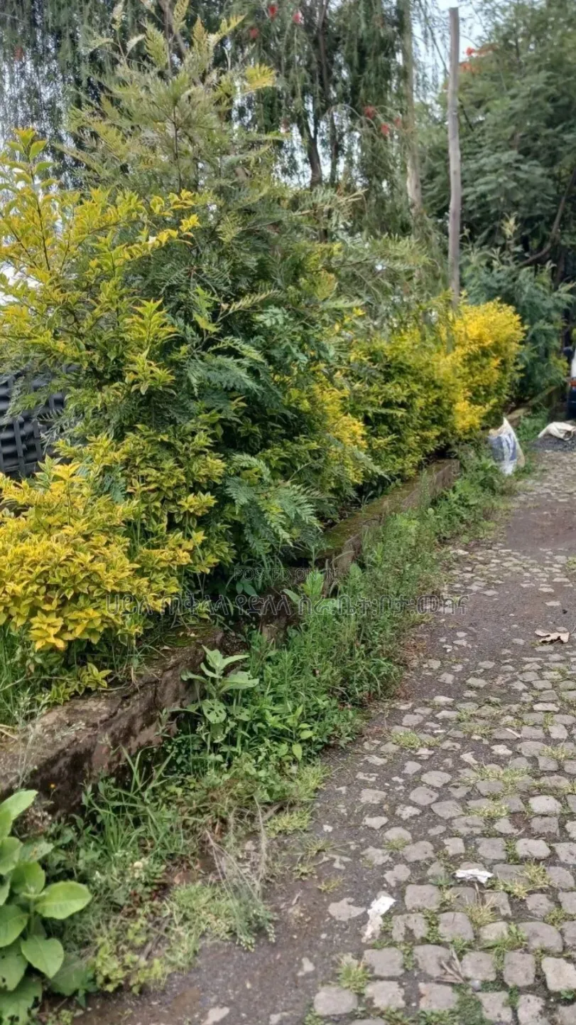 510 M2 Residential LandFor Sale Addis Ababa Ayat Zone Inside Compound