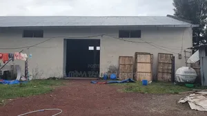 1000 M2 Residential Land for Sale Ayat Merry Area for Sale