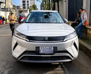 BYD Yuan Up 2025