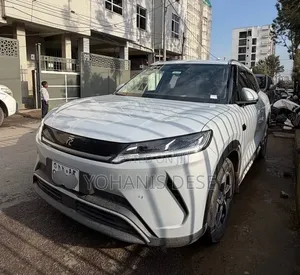 BYD Yuan Up 2025