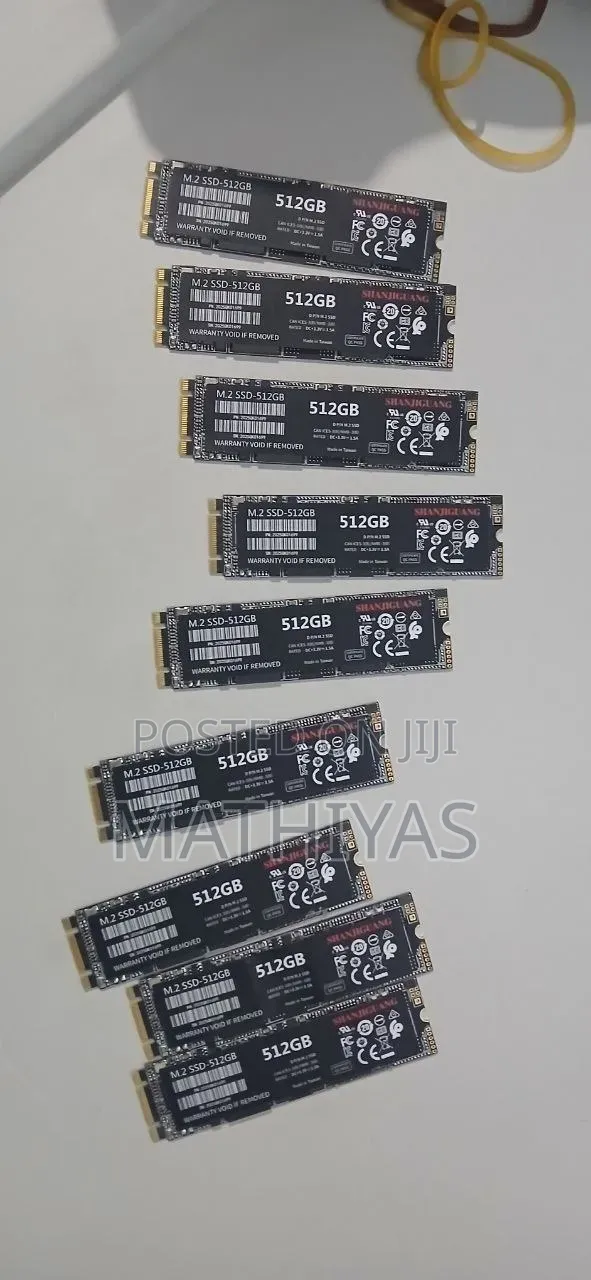 Shanjiguang 512 SSD
