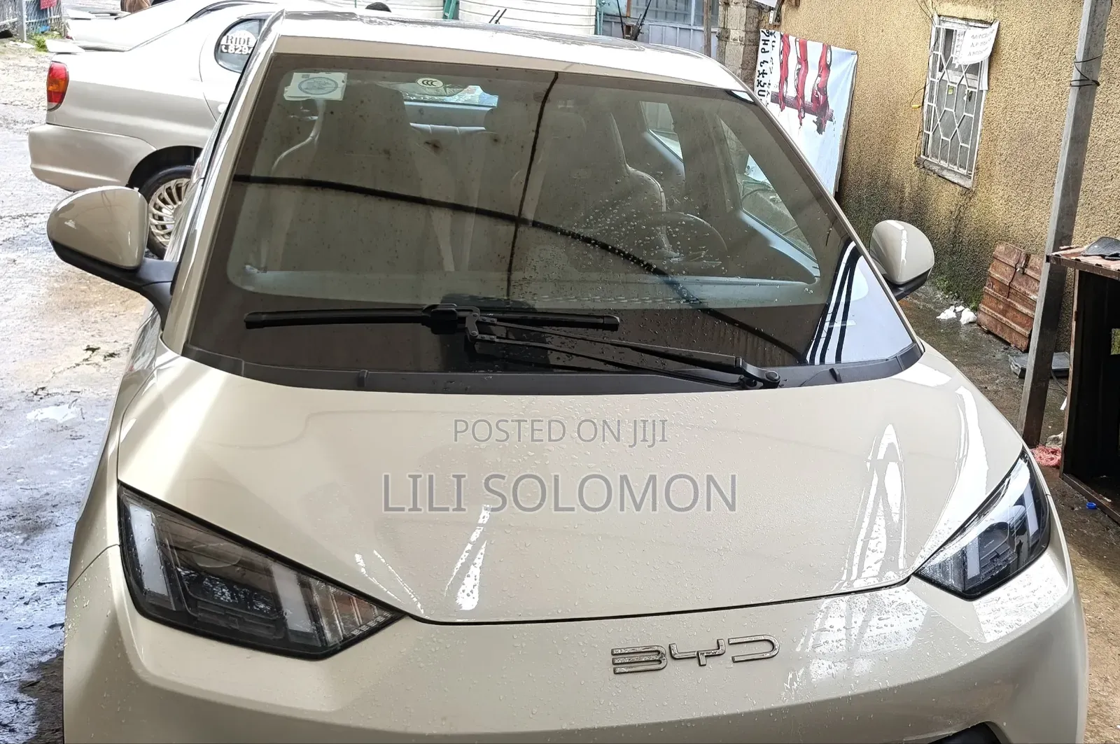 BYD Seagull 2025 White