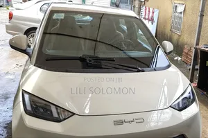 BYD Seagull 2025 White
