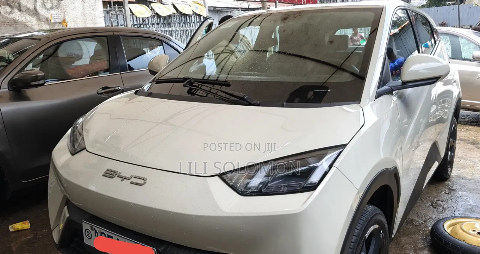 BYD Seagull 2025 White