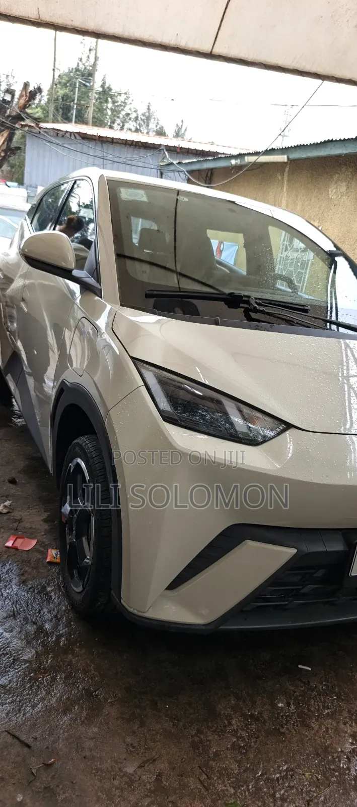BYD Seagull 2025 White