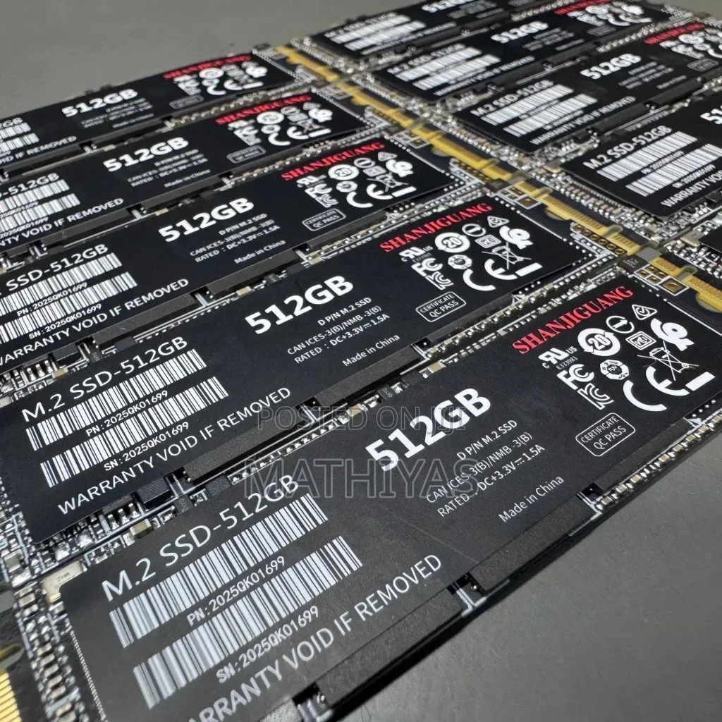 Shanjiguang 512 SSD