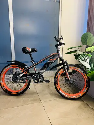 Orginal Philips Bike