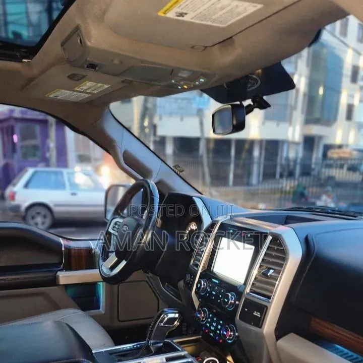 Ford F-150 2015 Silver