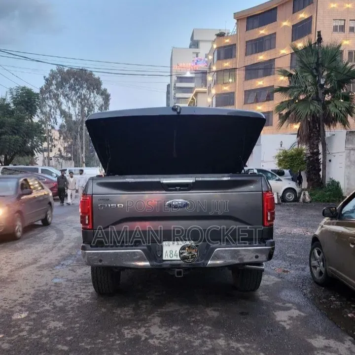 Ford F-150 2015 Silver