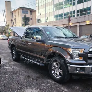 Ford F-150 2015 Silver