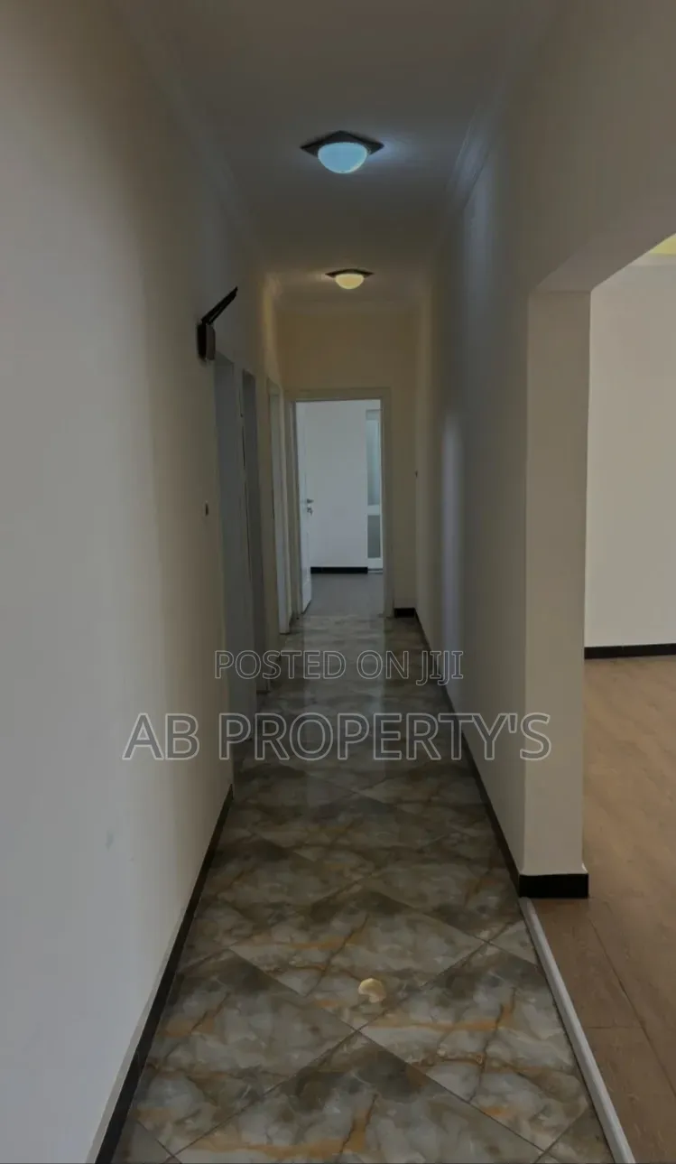 Furnished 3bdrm Apartment in Bole Atlas for sale