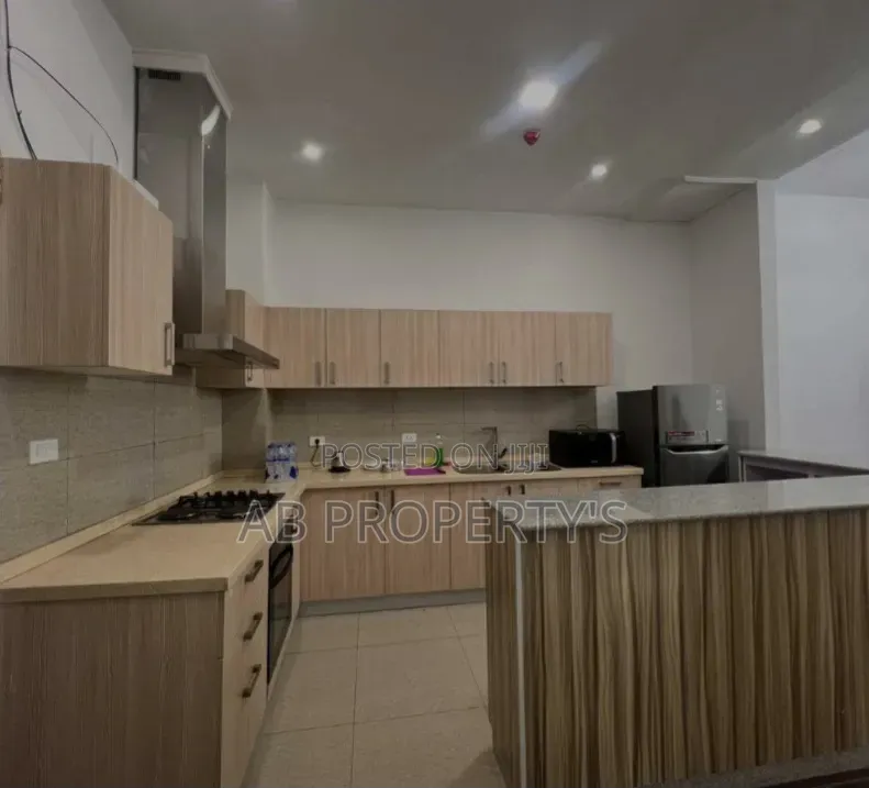 Furnished 3bdrm Apartment in Bole Ednamol for sale