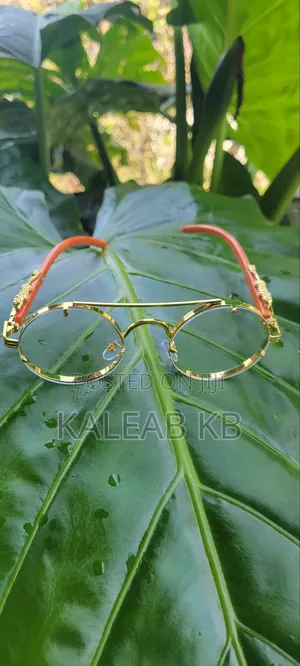 Eye Glass.