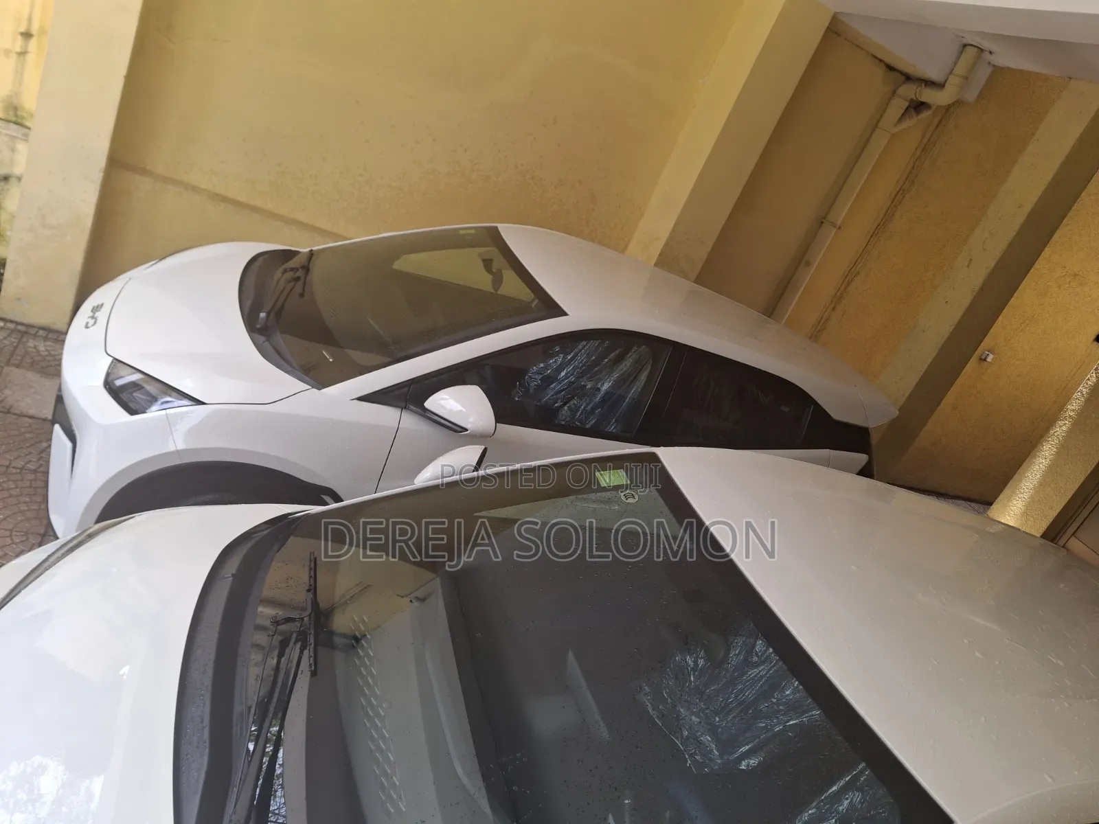 New BYD Seagull 2025 White