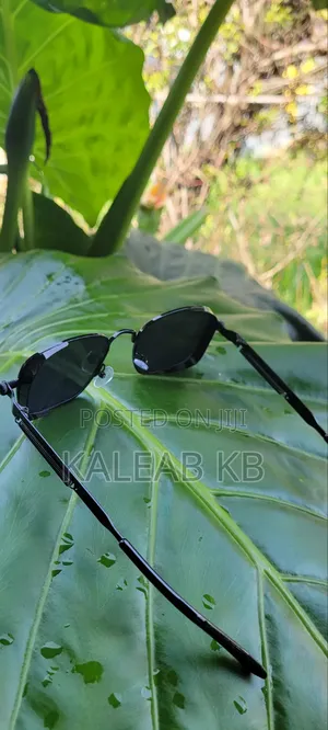 Original Eyewear