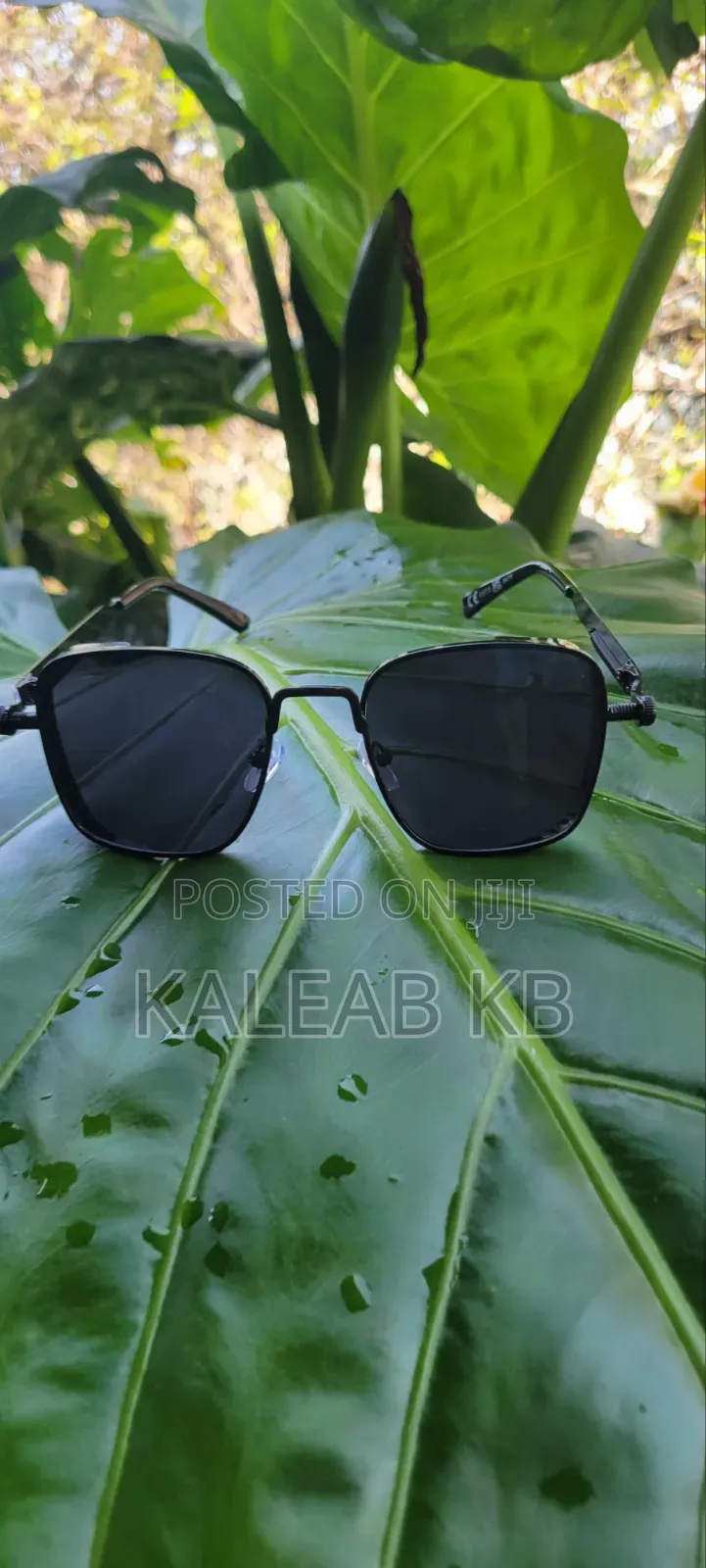 Original Eyewear