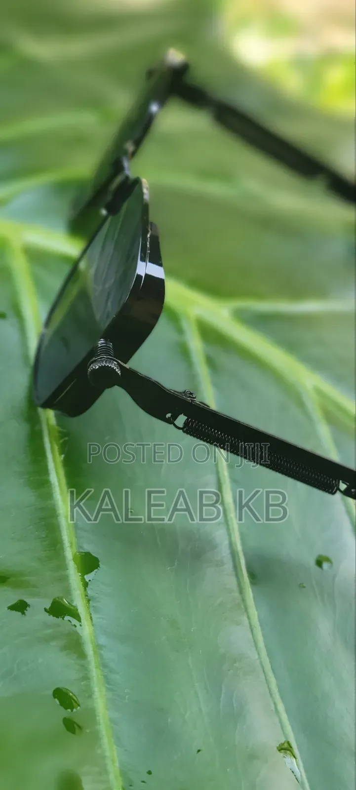 Original Eyewear