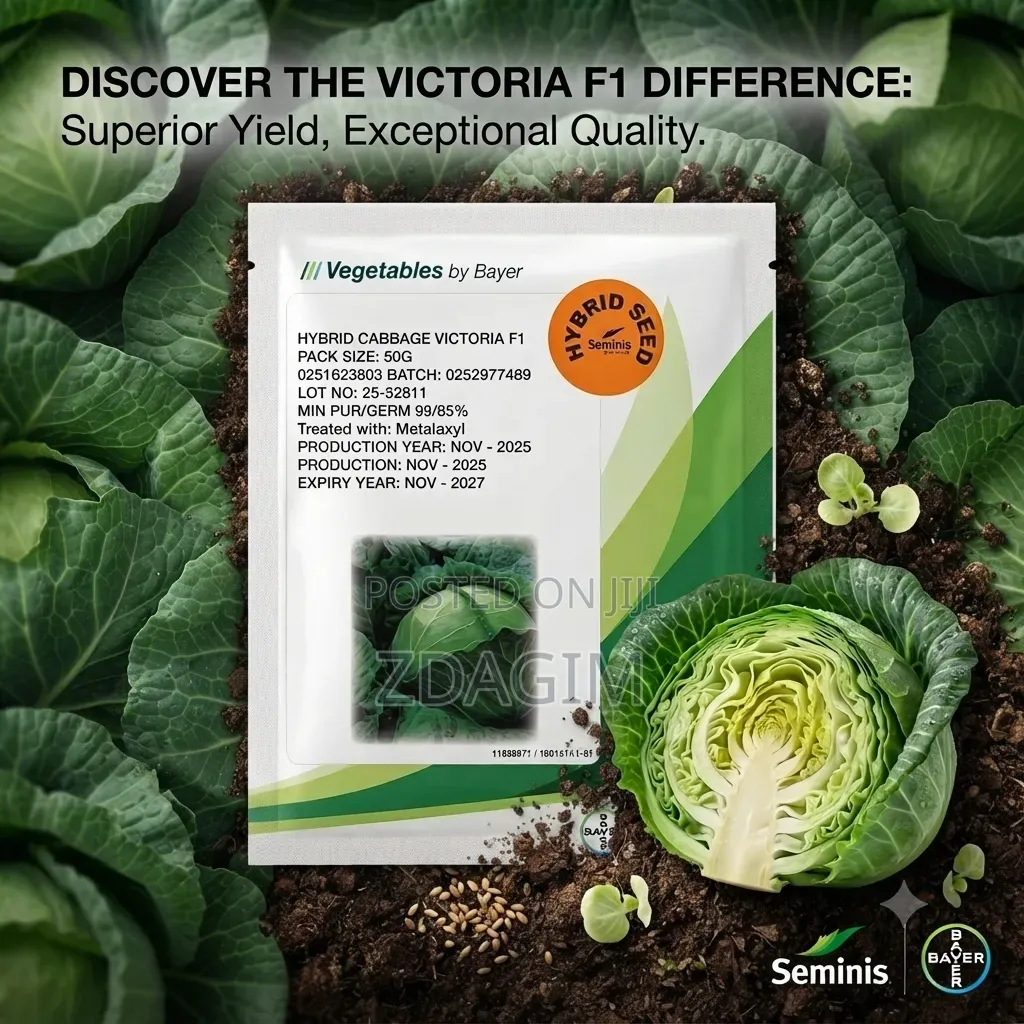 Victoria F1 Hybrid Cabbage Seeds