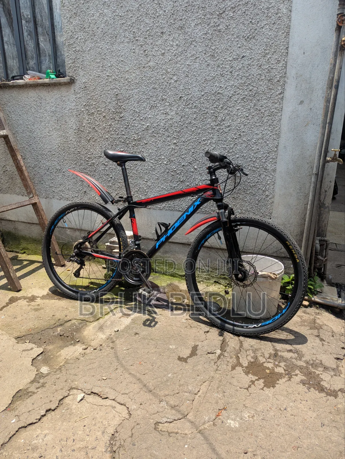 Phönix Bike