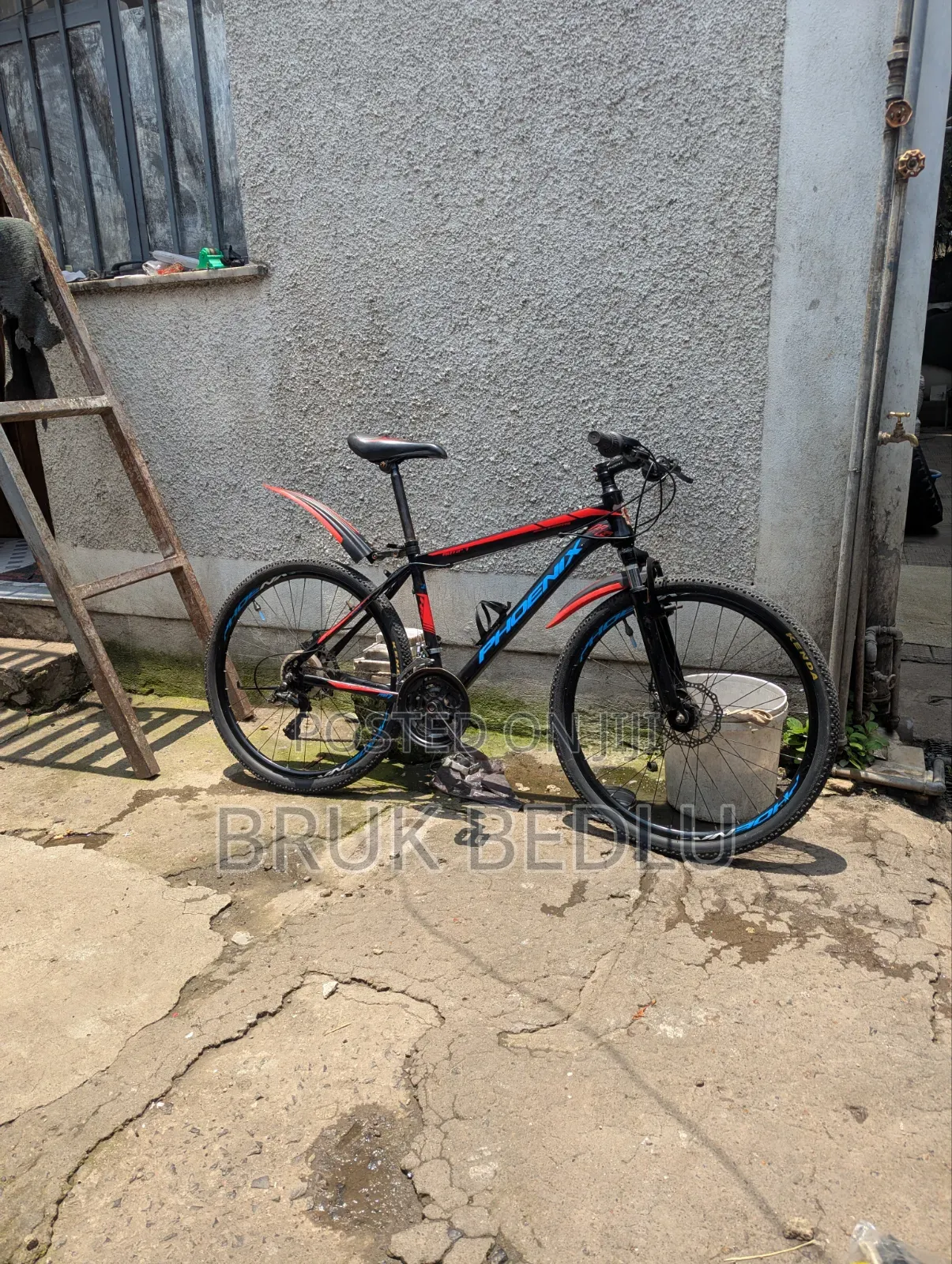 Phönix Bike