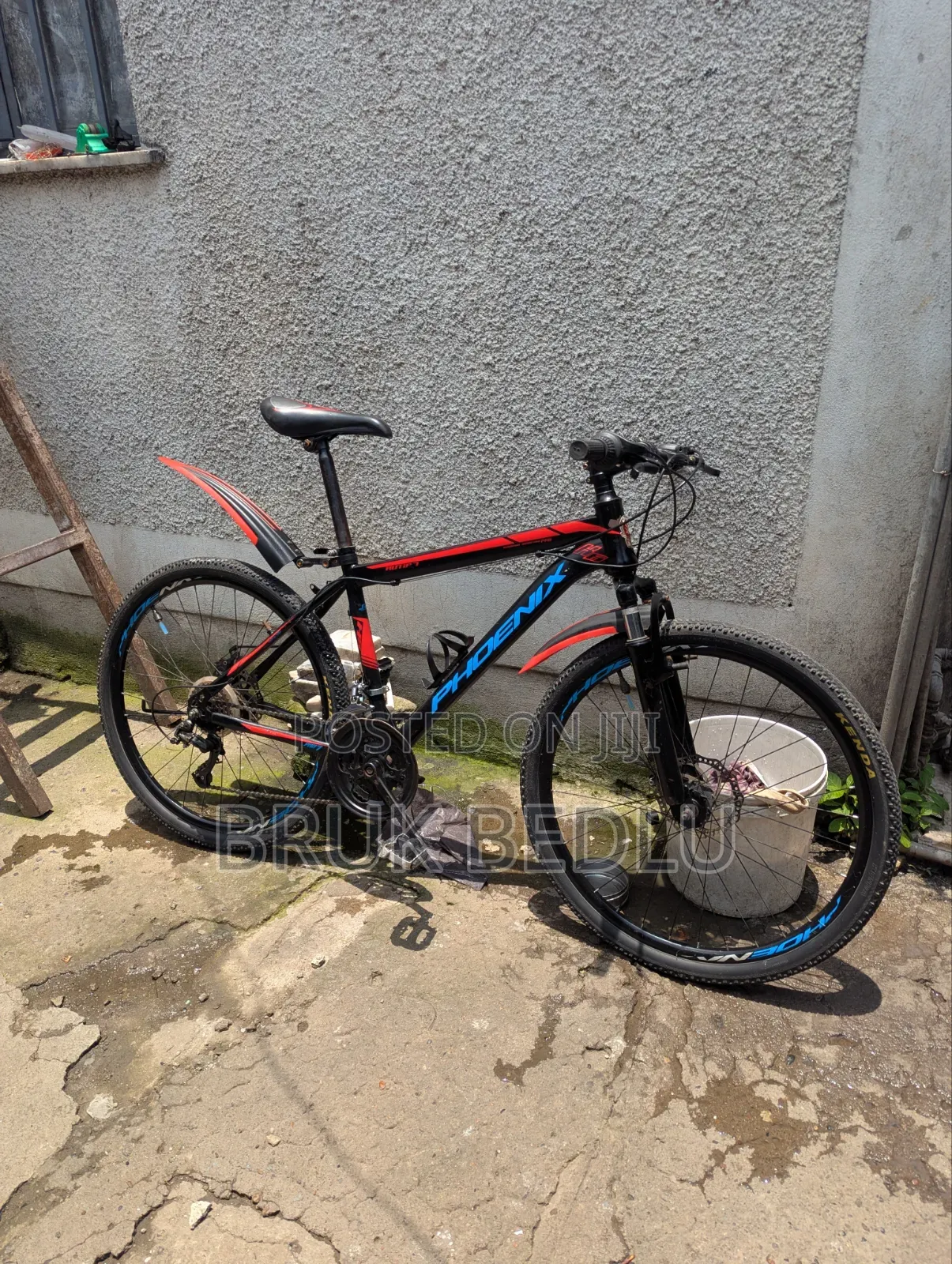 Phönix Bike