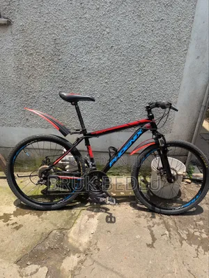 Phönix Bike