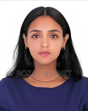 Personal Executive Assistant |International Client Relations