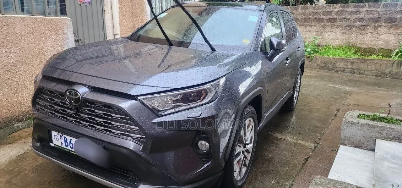 Toyota RAV4 2020 Gray