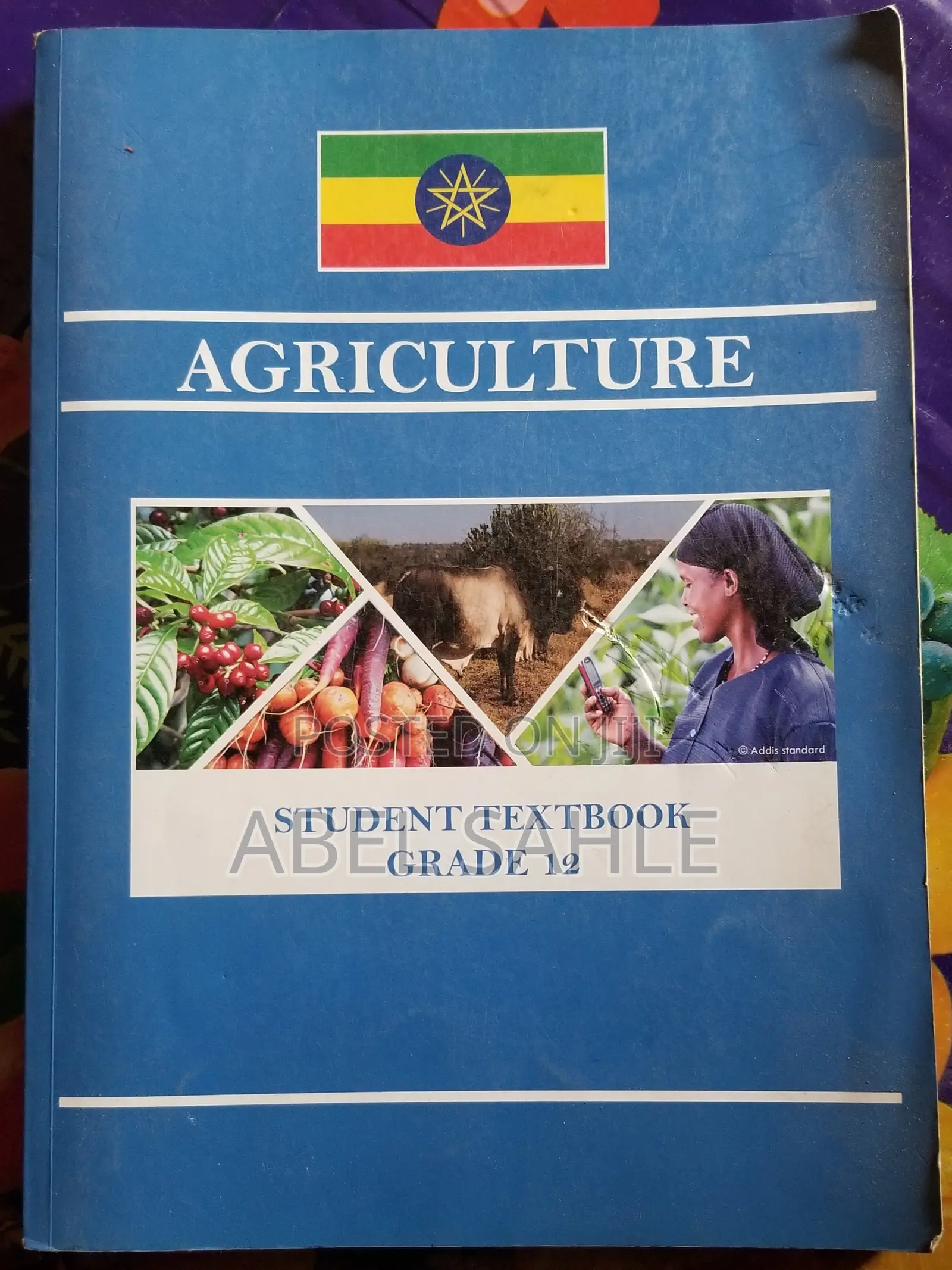 የ12ኛ ክፍል(New Curriculum) እና የማጣቀሻ መጽሐፍት (ጥሩ ሁኔታ ላይ ያሉ)