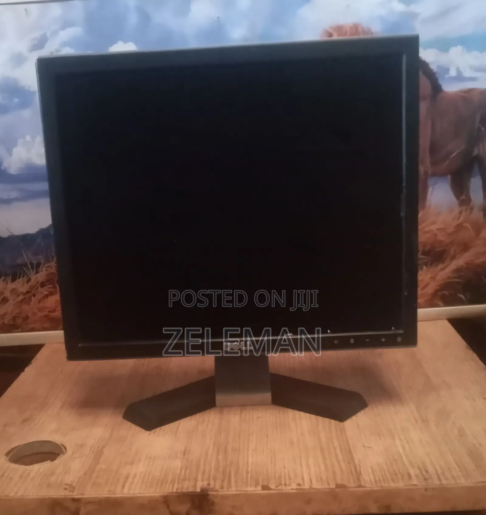 Computer Monitor