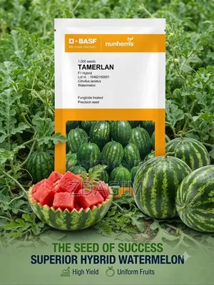 Tamerlan F1 Hybrid Watermelon Seeds