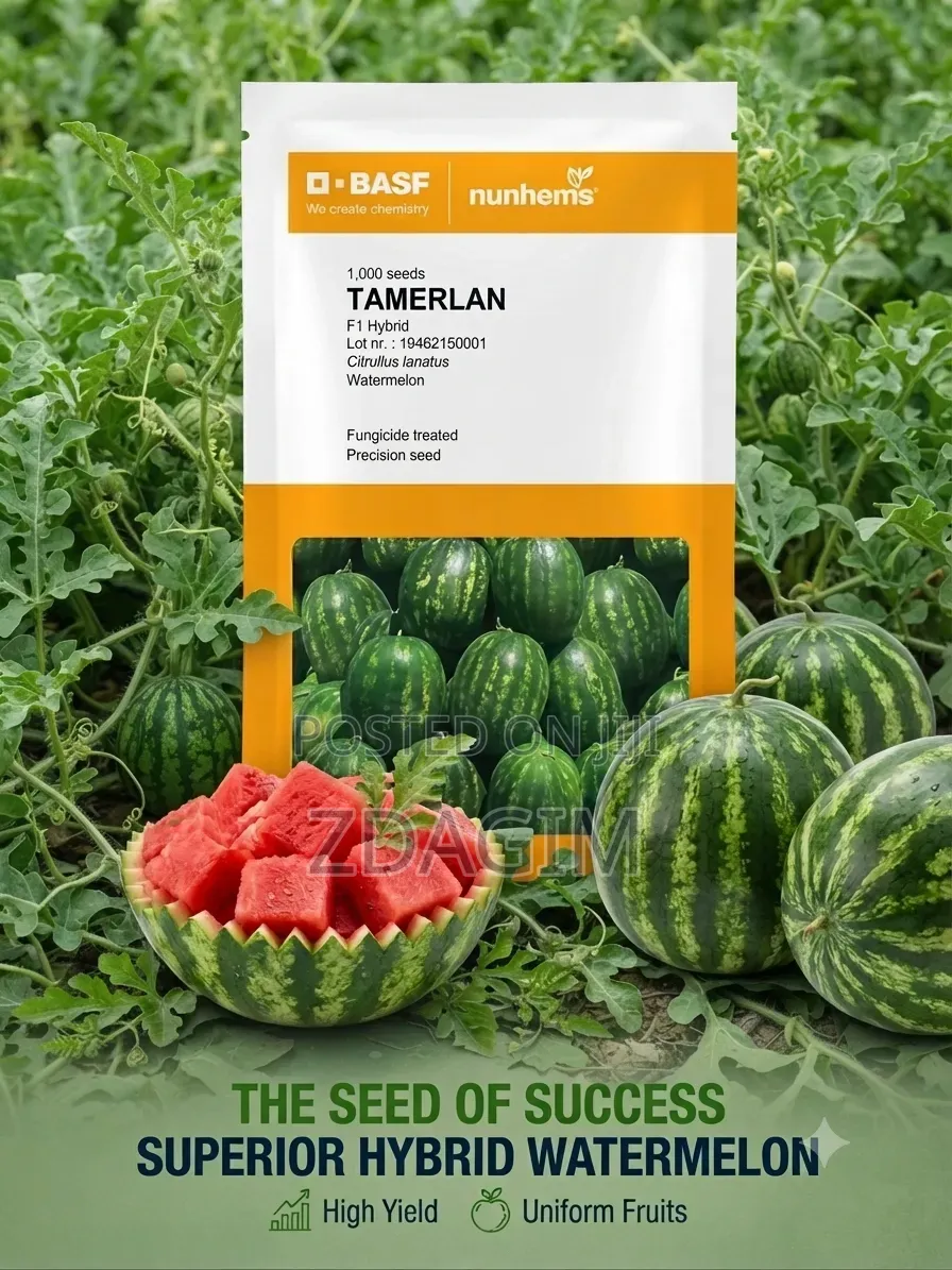 Tamerlan F1 Hybrid Watermelon Seeds