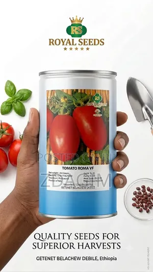 250-Gram Tin of Roma VF Tomato Seeds From Royal Seeds