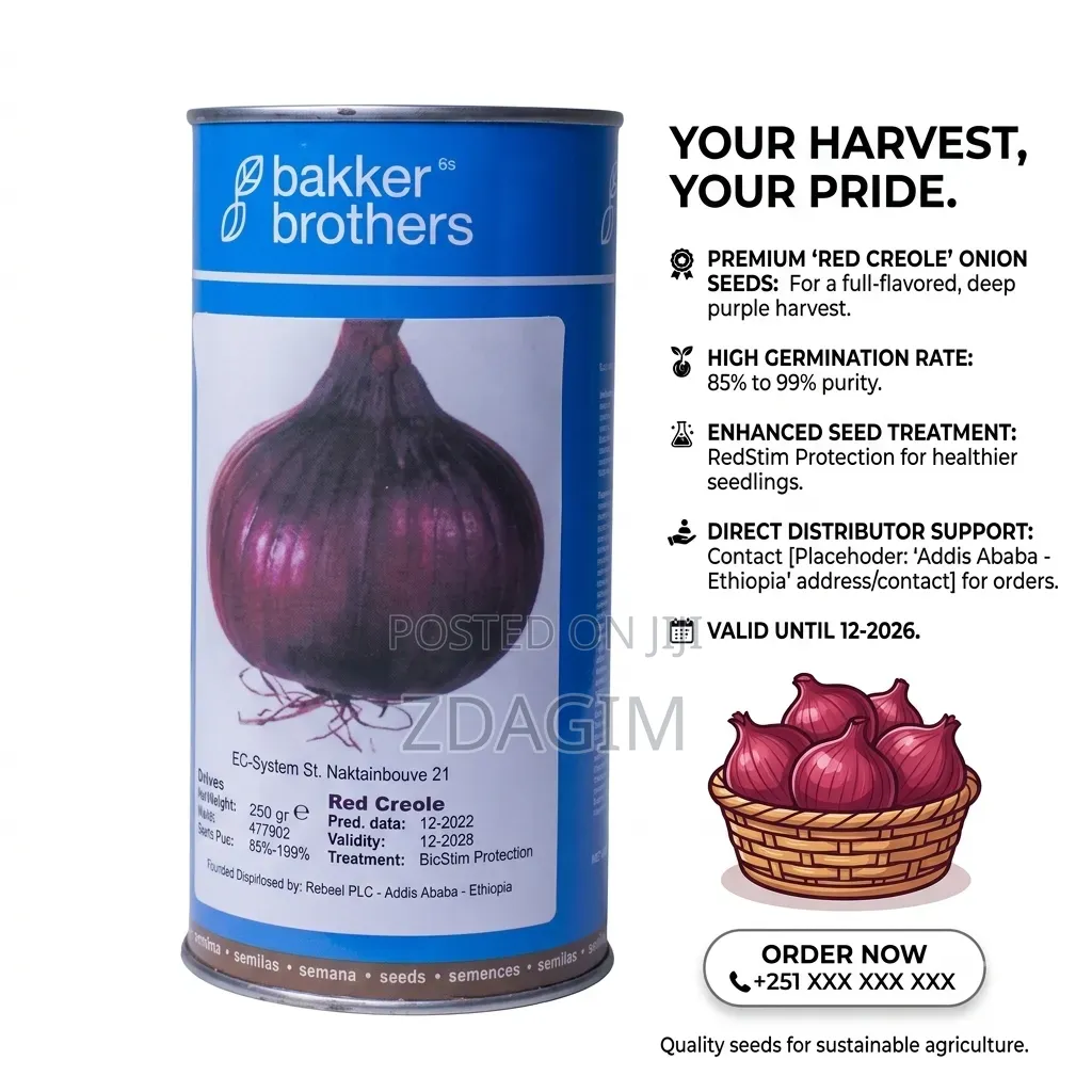 250-Gram Tin of Bakker Brothers 'Red Creole' Onion Seeds