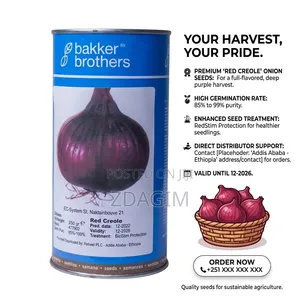 250-Gram Tin of Bakker Brothers 'Red Creole' Onion Seeds