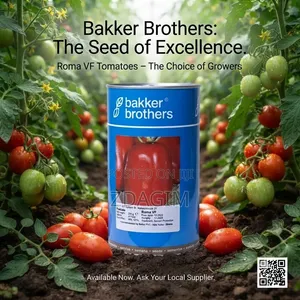 Bakker Brothers Roma VF Tomato Seeds