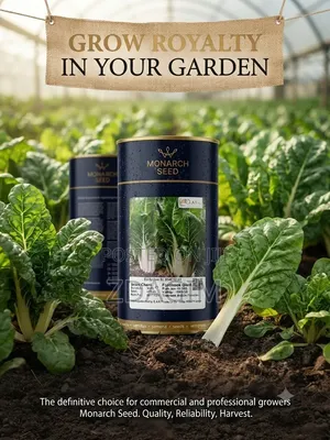 Monarch Seed Fordhook Giant Swiss Chard Seeds