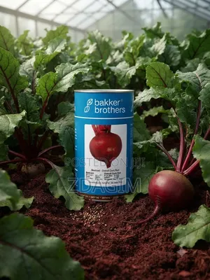 250g Can of Bakker Brothers Detroit Dark Red Beetroot Seeds
