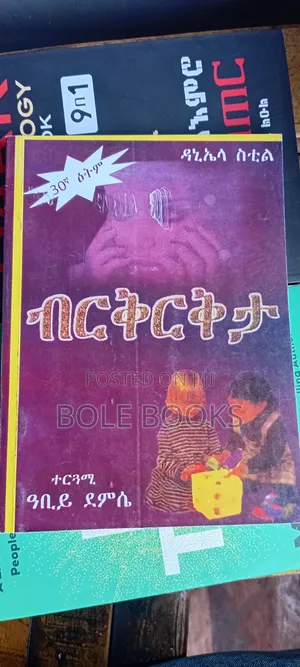 ብርቅርቅታ ተርጓሚ አቢይ ደምሴ